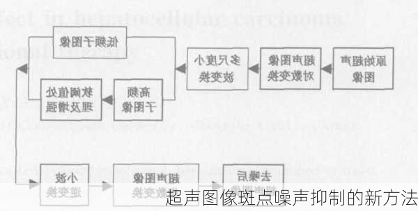 超声图像斑点噪声抑制的新方法