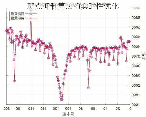 斑点抑制算法的实时性优化