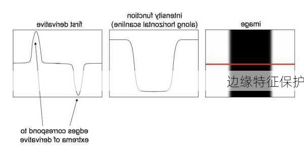 边缘特征保护