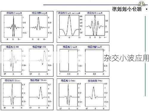 杂交小波应用