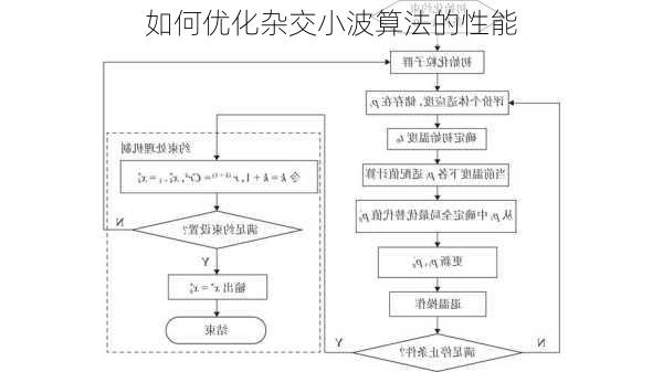 如何优化杂交小波算法的性能