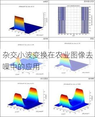 杂交小波变换在农业图像去噪中的应用