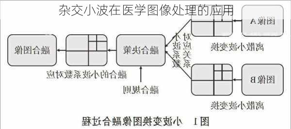 杂交小波在医学图像处理的应用