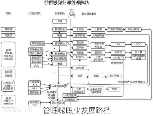 管理线职业发展路径