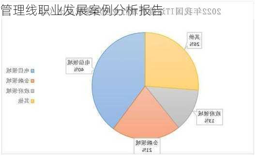 管理线职业发展案例分析报告