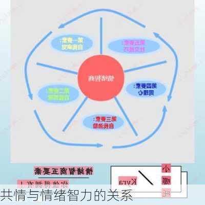 共情与情绪智力的关系