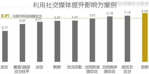 利用社交媒体提升影响力案例