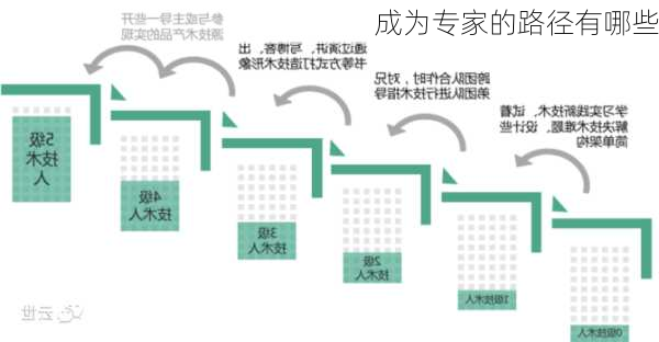 成为专家的路径有哪些