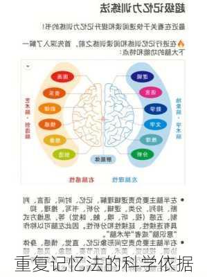 重复记忆法的科学依据