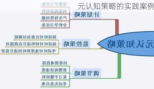 元认知策略的实践案例