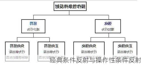 经典条件反射与操作性条件反射