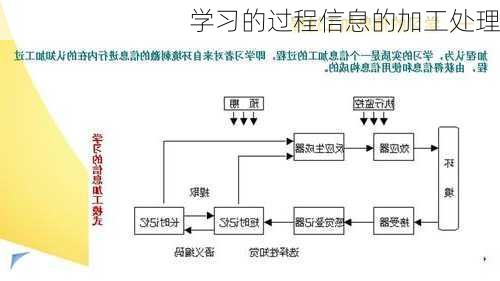 学习的过程信息的加工处理