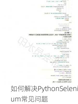 如何解决PythonSelenium常见问题