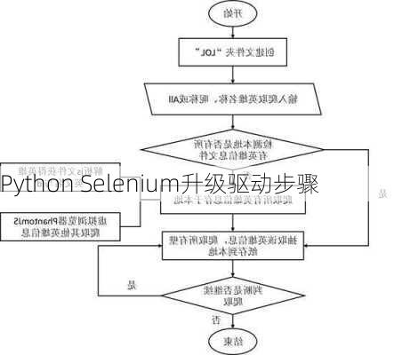 Python Selenium升级驱动步骤