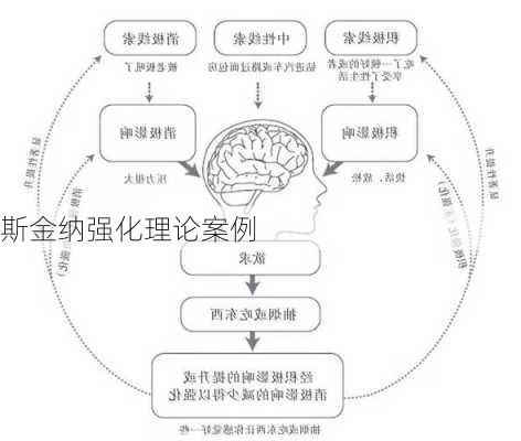 斯金纳强化理论案例