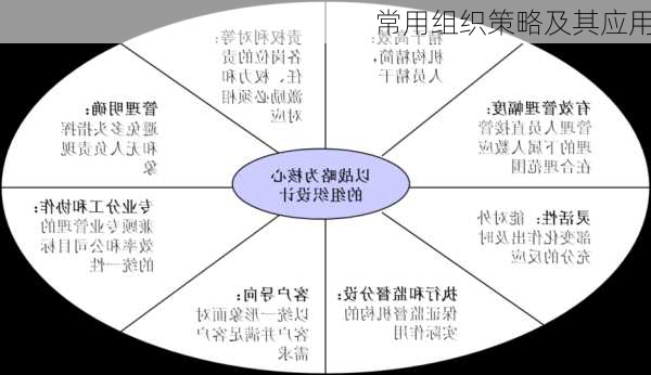 常用组织策略及其应用