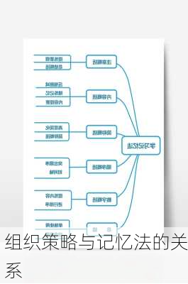 组织策略与记忆法的关系