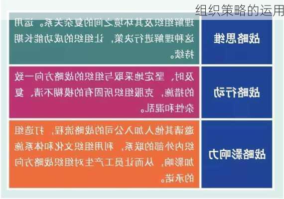 组织策略的运用