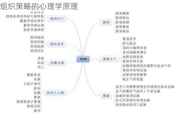 组织策略的心理学原理