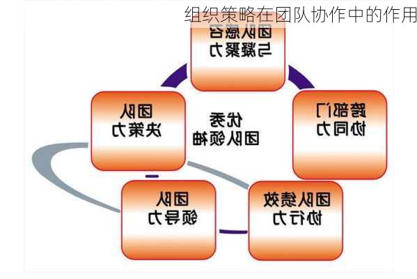 组织策略在团队协作中的作用