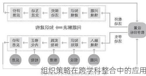 组织策略在跨学科整合中的应用