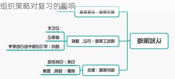 组织策略对复习的影响