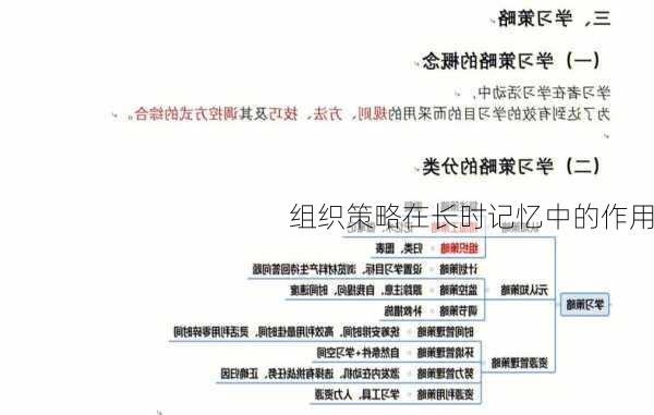 组织策略在长时记忆中的作用