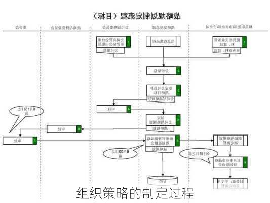 组织策略的制定过程