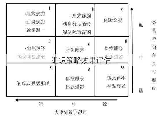 组织策略效果评估