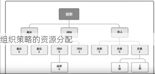 组织策略的资源分配