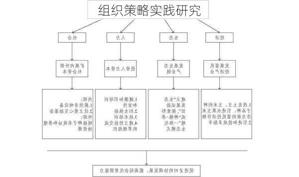 组织策略实践研究