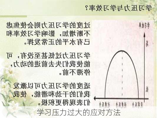 学习压力过大的应对方法