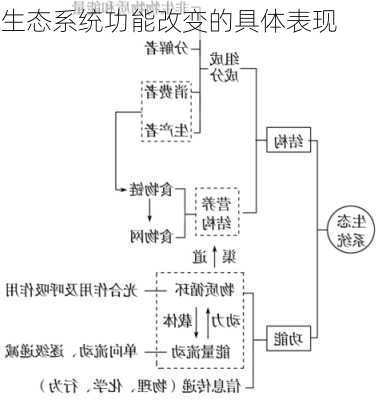 生态系统功能改变的具体表现