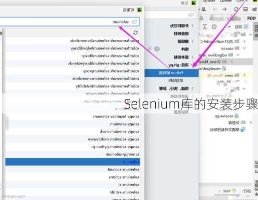 Selenium库的安装步骤