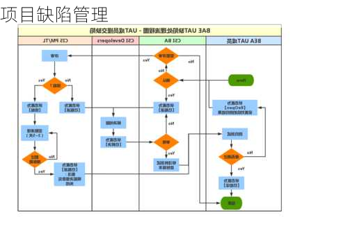 项目缺陷管理