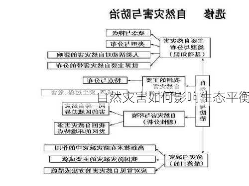 自然灾害如何影响生态平衡