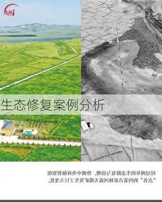 生态修复案例分析