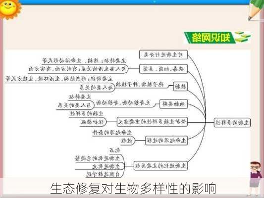 生态修复对生物多样性的影响