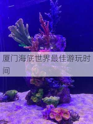 厦门海底世界最佳游玩时间