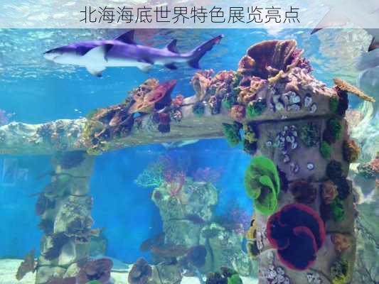 北海海底世界特色展览亮点