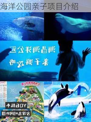 海洋公园亲子项目介绍