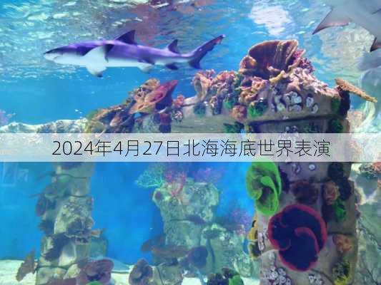 2024年4月27日北海海底世界表演