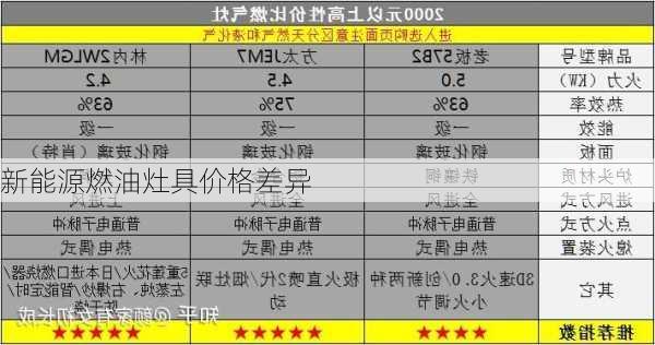 新能源燃油灶具价格差异