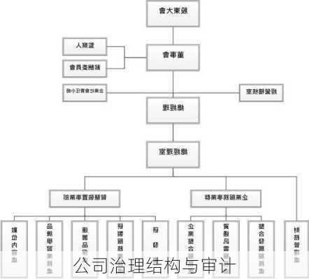 公司治理结构与审计