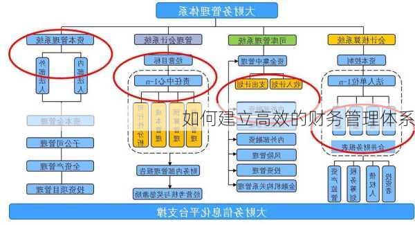 如何建立高效的财务管理体系