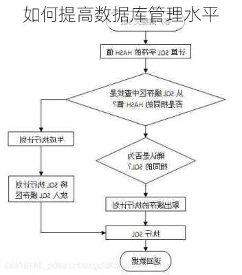 如何提高数据库管理水平