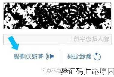 验证码泄露原因