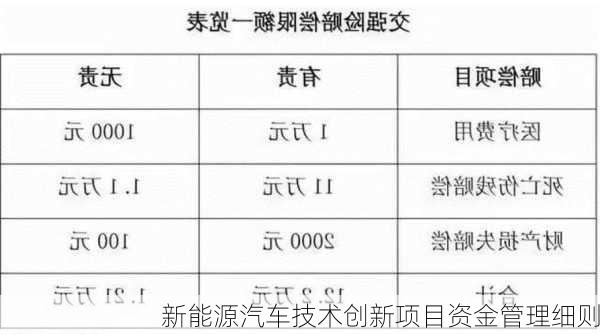 新能源汽车技术创新项目资金管理细则