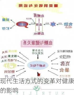 现代生活方式的变革对健康的影响