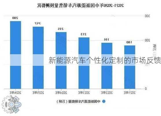 新能源汽车个性化定制的市场反馈